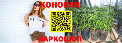 тгк Севастополь