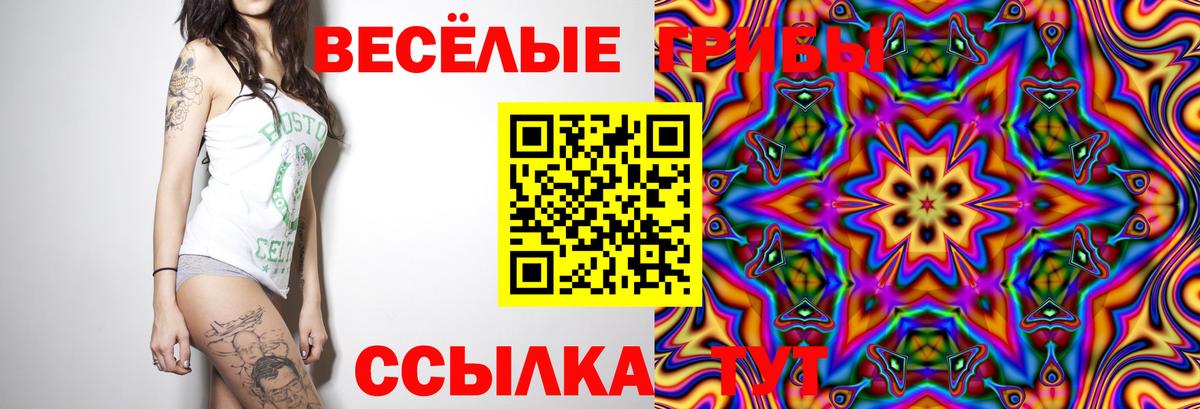 Галлюциногенные грибы ЛСД  Вход с VPN  где купить наркоту  Реутов 